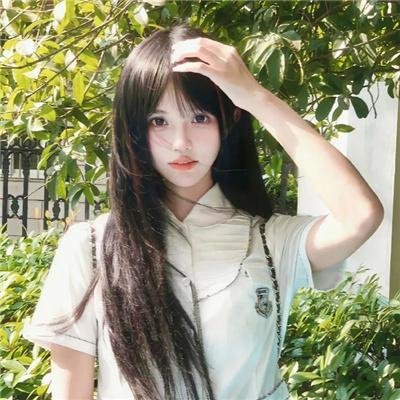 鳄鱼群